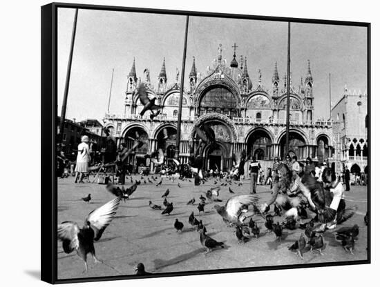 People Feed Pigeons at Saint Marks Square-null-Framed Stretched Canvas