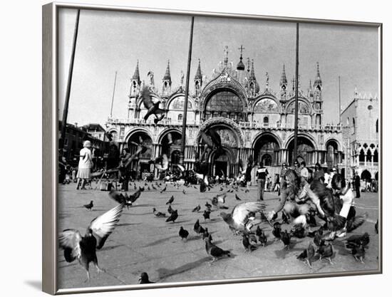 People Feed Pigeons at Saint Marks Square-null-Framed Photographic Print