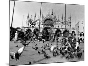 People Feed Pigeons at Saint Marks Square-null-Mounted Photographic Print