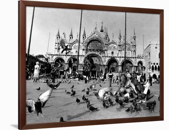 People Feed Pigeons at Saint Marks Square-null-Framed Photographic Print