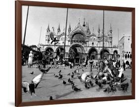 People Feed Pigeons at Saint Marks Square-null-Framed Photographic Print