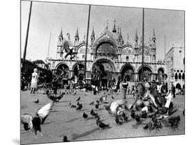 People Feed Pigeons at Saint Marks Square-null-Mounted Photographic Print