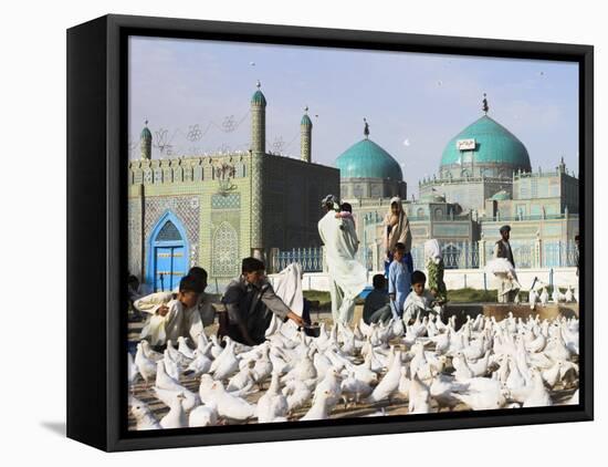 People Feeding Famous White Pigeons at Shrine of Hazrat Ali, Mazar-I-Sharif, Afghanistan-Jane Sweeney-Framed Stretched Canvas