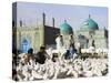 People Feeding Famous White Pigeons at Shrine of Hazrat Ali, Mazar-I-Sharif, Afghanistan-Jane Sweeney-Stretched Canvas