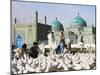 People Feeding Famous White Pigeons at Shrine of Hazrat Ali, Mazar-I-Sharif, Afghanistan-Jane Sweeney-Mounted Photographic Print