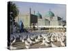 People Feeding the Famous White Pigeons, Mazar-I-Sharif, Afghanistan-Jane Sweeney-Stretched Canvas