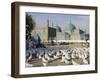 People Feeding the Famous White Pigeons, Mazar-I-Sharif, Afghanistan-Jane Sweeney-Framed Photographic Print