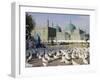 People Feeding the Famous White Pigeons, Mazar-I-Sharif, Afghanistan-Jane Sweeney-Framed Photographic Print