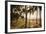 People, Flamengo Beach, Rio De Janeiro, Brazil, South America-Ian Trower-Framed Photographic Print