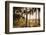 People, Flamengo Beach, Rio De Janeiro, Brazil, South America-Ian Trower-Framed Photographic Print