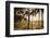 People, Flamengo Beach, Rio De Janeiro, Brazil, South America-Ian Trower-Framed Photographic Print