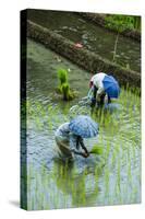 People Harvesting in the UNESCO World Heritage Site of Banaue, Northern Luzon, Philippines-Michael Runkel-Stretched Canvas