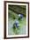 People Harvesting in the UNESCO World Heritage Site of Banaue, Northern Luzon, Philippines-Michael Runkel-Framed Photographic Print