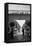 People in a Market, Marche Des Capucins, Bordeaux, Gironde, Aquitaine, France-null-Framed Stretched Canvas