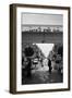 People in a Market, Marche Des Capucins, Bordeaux, Gironde, Aquitaine, France-null-Framed Photographic Print