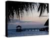 People in Beach Bar Near the Moorings at Sunset, Placencia, Belize, Central America-Jane Sweeney-Stretched Canvas