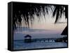 People in Beach Bar Near the Moorings at Sunset, Placencia, Belize, Central America-Jane Sweeney-Framed Stretched Canvas