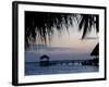 People in Beach Bar Near the Moorings at Sunset, Placencia, Belize, Central America-Jane Sweeney-Framed Photographic Print