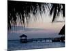 People in Beach Bar Near the Moorings at Sunset, Placencia, Belize, Central America-Jane Sweeney-Mounted Photographic Print