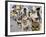 People in Costume and Facial Paint, Ati Atihan Festival, Kalibo, Philippines, Southeast Asia-Adina Tovy-Framed Photographic Print