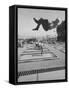 People Jumping on Trampolines-Ralph Crane-Framed Stretched Canvas