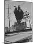 People Jumping on Trampolines-Ralph Crane-Mounted Photographic Print