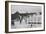 People Leaving Buddhist Church, Winter-Ansel Adams-Framed Art Print