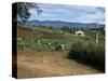 People Leaving Church on a Sunday, Fort Portal, Uganda, East Africa, Africa-David Poole-Stretched Canvas