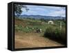 People Leaving Church on a Sunday, Fort Portal, Uganda, East Africa, Africa-David Poole-Framed Stretched Canvas