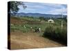 People Leaving Church on a Sunday, Fort Portal, Uganda, East Africa, Africa-David Poole-Stretched Canvas