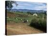 People Leaving Church on a Sunday, Fort Portal, Uganda, East Africa, Africa-David Poole-Stretched Canvas