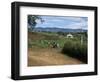 People Leaving Church on a Sunday, Fort Portal, Uganda, East Africa, Africa-David Poole-Framed Photographic Print