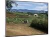 People Leaving Church on a Sunday, Fort Portal, Uganda, East Africa, Africa-David Poole-Mounted Photographic Print