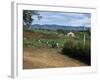 People Leaving Church on a Sunday, Fort Portal, Uganda, East Africa, Africa-David Poole-Framed Photographic Print