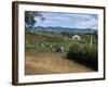 People Leaving Church on a Sunday, Fort Portal, Uganda, East Africa, Africa-David Poole-Framed Photographic Print