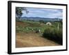 People Leaving Church on a Sunday, Fort Portal, Uganda, East Africa, Africa-David Poole-Framed Photographic Print