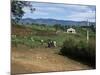 People Leaving Church on a Sunday, Fort Portal, Uganda, East Africa, Africa-David Poole-Mounted Photographic Print