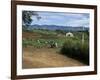 People Leaving Church on a Sunday, Fort Portal, Uganda, East Africa, Africa-David Poole-Framed Photographic Print