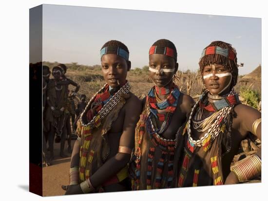 People of the Hamer Tribe, the Woman's Hair Treated with Ochre, Southern Ethiopia, Ethiopia-Gavin Hellier-Stretched Canvas