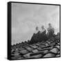 People on a Rooftop Awaiting the Coronation of Pope John XXIII, Vatican City, 4th November 1958-null-Framed Stretched Canvas