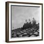 People on a Rooftop Awaiting the Coronation of Pope John XXIII, Vatican City, 4th November 1958-null-Framed Photographic Print