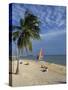 People on the Beach in the Late Afternoon, Key West, Florida, USA-Miller John-Stretched Canvas