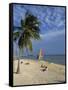 People on the Beach in the Late Afternoon, Key West, Florida, USA-Miller John-Framed Stretched Canvas