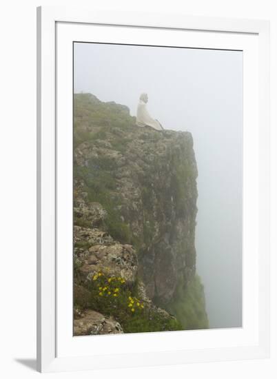 People on the cliff in morning mist, Simien Mountain, Ethiopia-Keren Su-Framed Photographic Print