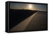 People on the Sand Dunes in Brazil's Lencois Maranhenses National Park-Alex Saberi-Framed Stretched Canvas