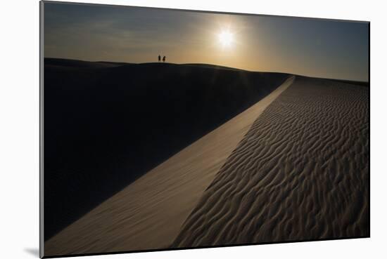 People on the Sand Dunes in Brazil's Lencois Maranhenses National Park-Alex Saberi-Mounted Photographic Print