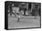 People on the Street in Harlem-null-Framed Stretched Canvas