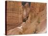 People on Trail, Bryce Canyon National Park, Utah, United States of America, North America-Jean Brooks-Stretched Canvas