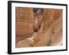 People on Trail, Bryce Canyon National Park, Utah, United States of America, North America-Jean Brooks-Framed Photographic Print