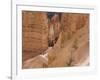 People on Trail, Bryce Canyon National Park, Utah, United States of America, North America-Jean Brooks-Framed Photographic Print